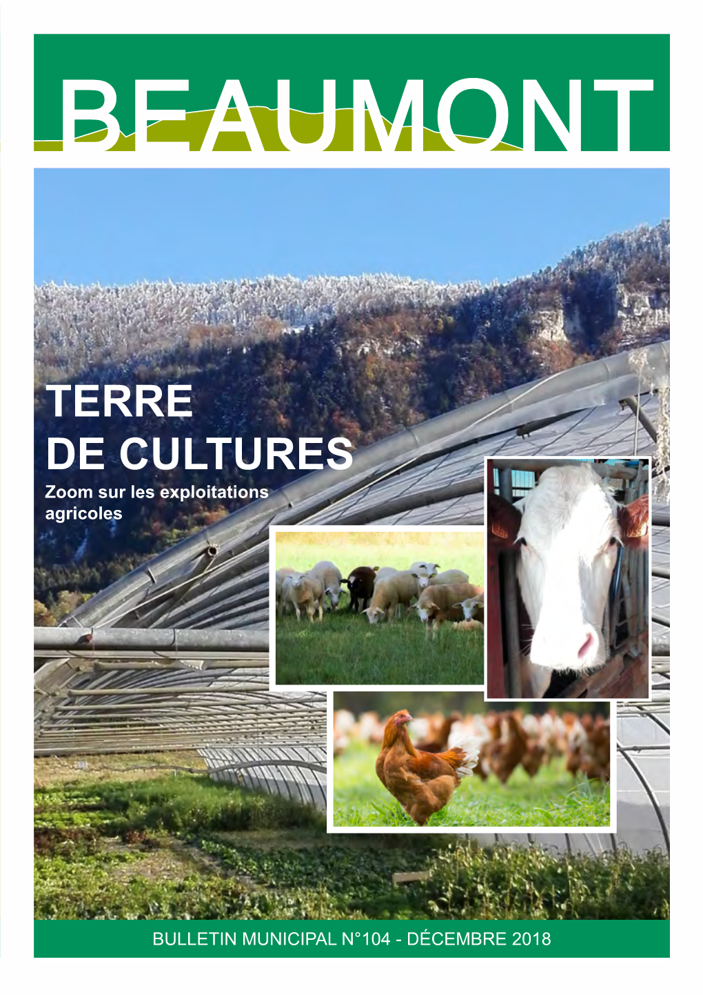 TERRE DE CULTURES Zoom Sur Les Exploitations Agricoles