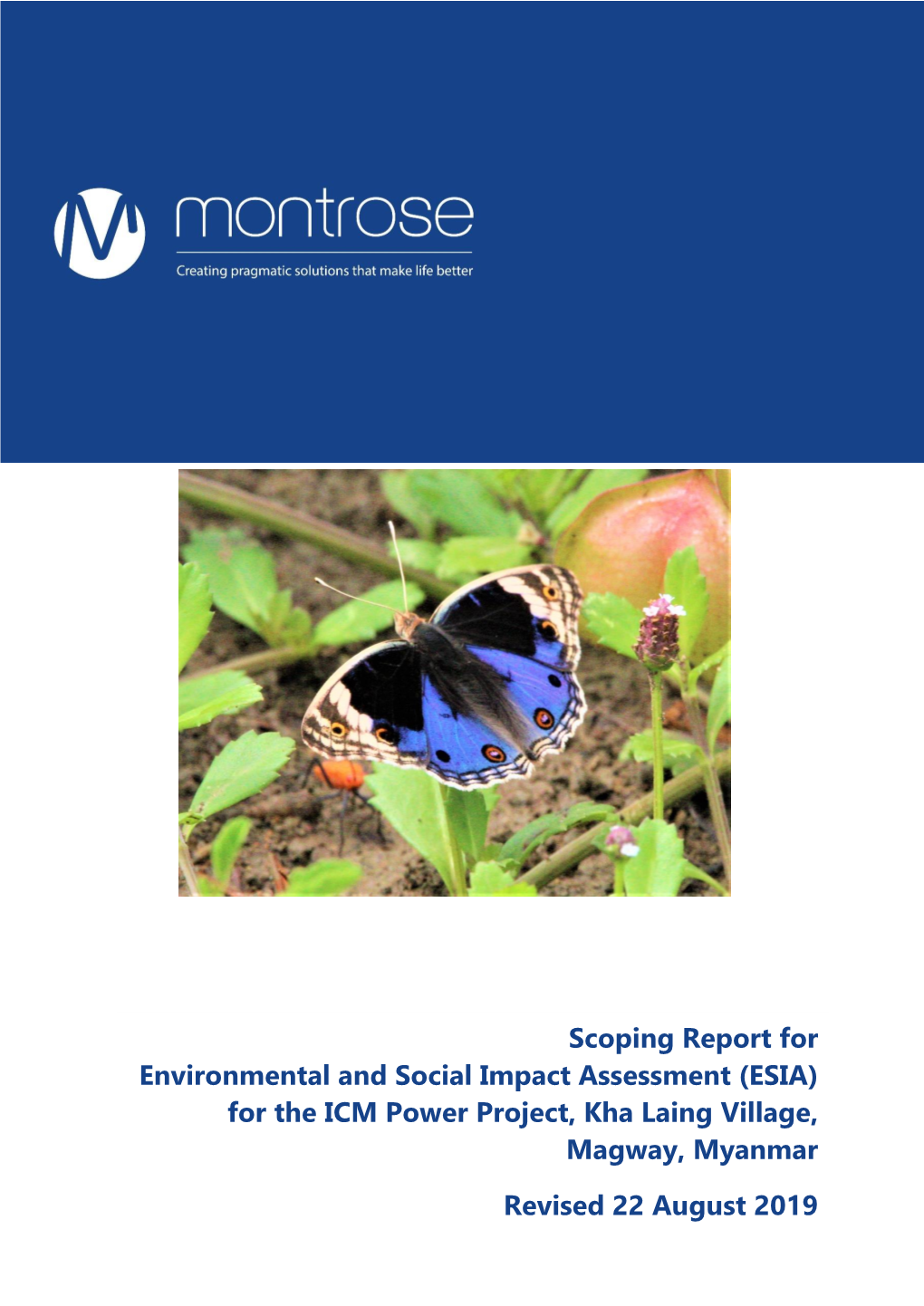 Scoping Report for Environmental and Social Impact Assessment (ESIA) for the ICM Power Project, Kha Laing Village, Magway, Myanm