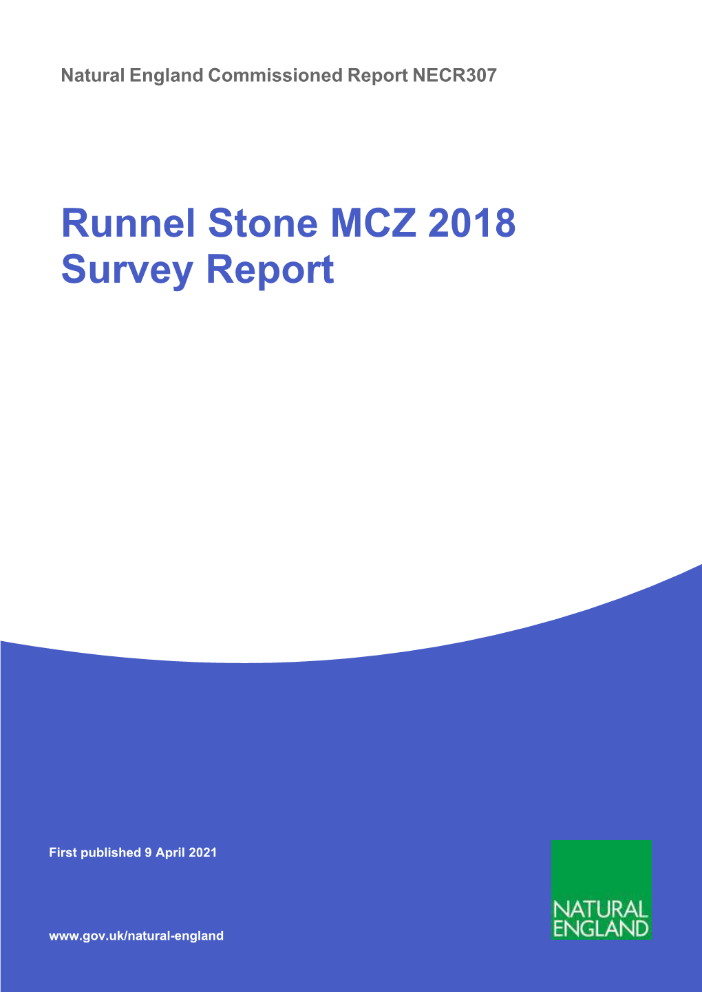 Runnel Stone MCZ 2018 Survey Report