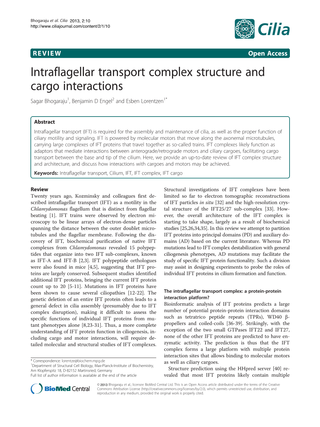 Intraflagellar Transport Complex Structure and Cargo Interactions Sagar Bhogaraju1, Benjamin D Engel2 and Esben Lorentzen1*