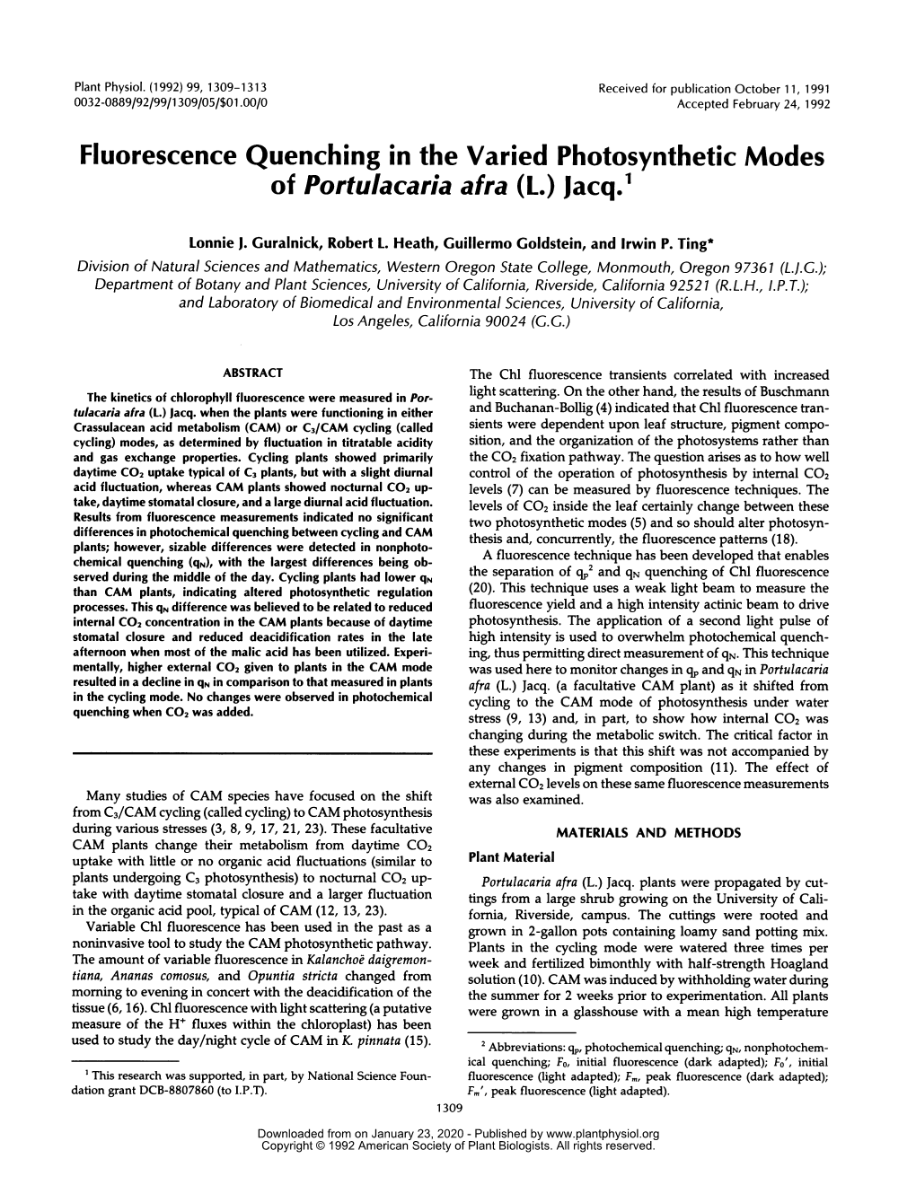 Fluorescence Quenching in the Varied Photosynthetic Modes of Portulacaria Afra (L.) Jacq.'