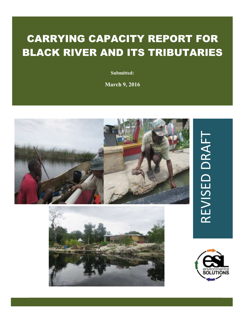 Carrying Capacity Report for Black River and Its Tributaries