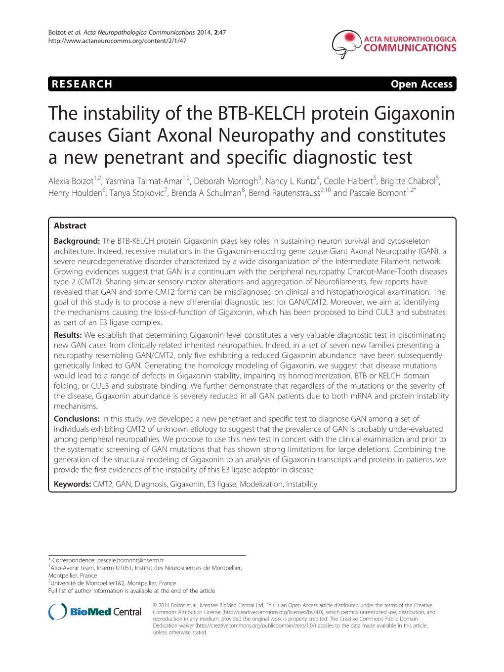 The Instability of the BTB-KELCH Protein Gigaxonin Causes Giant