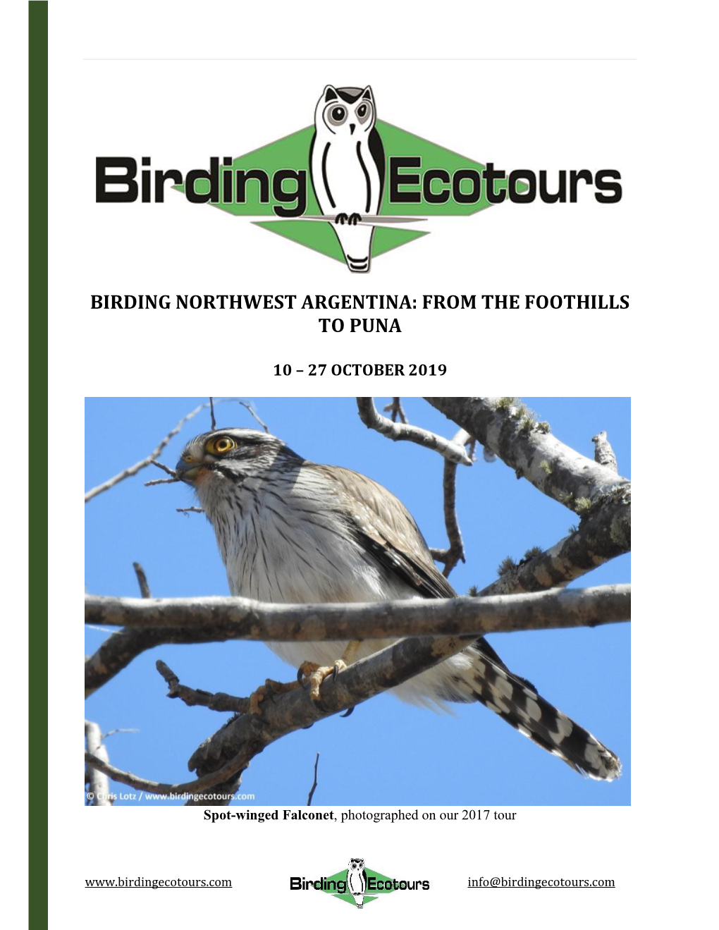 Birding Northwest Argentina: from the Foothills to Puna