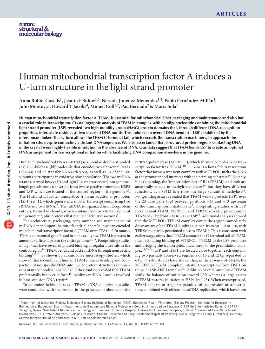 The Mitochondrial Transcription and Packaging Factor Tfam Imposes