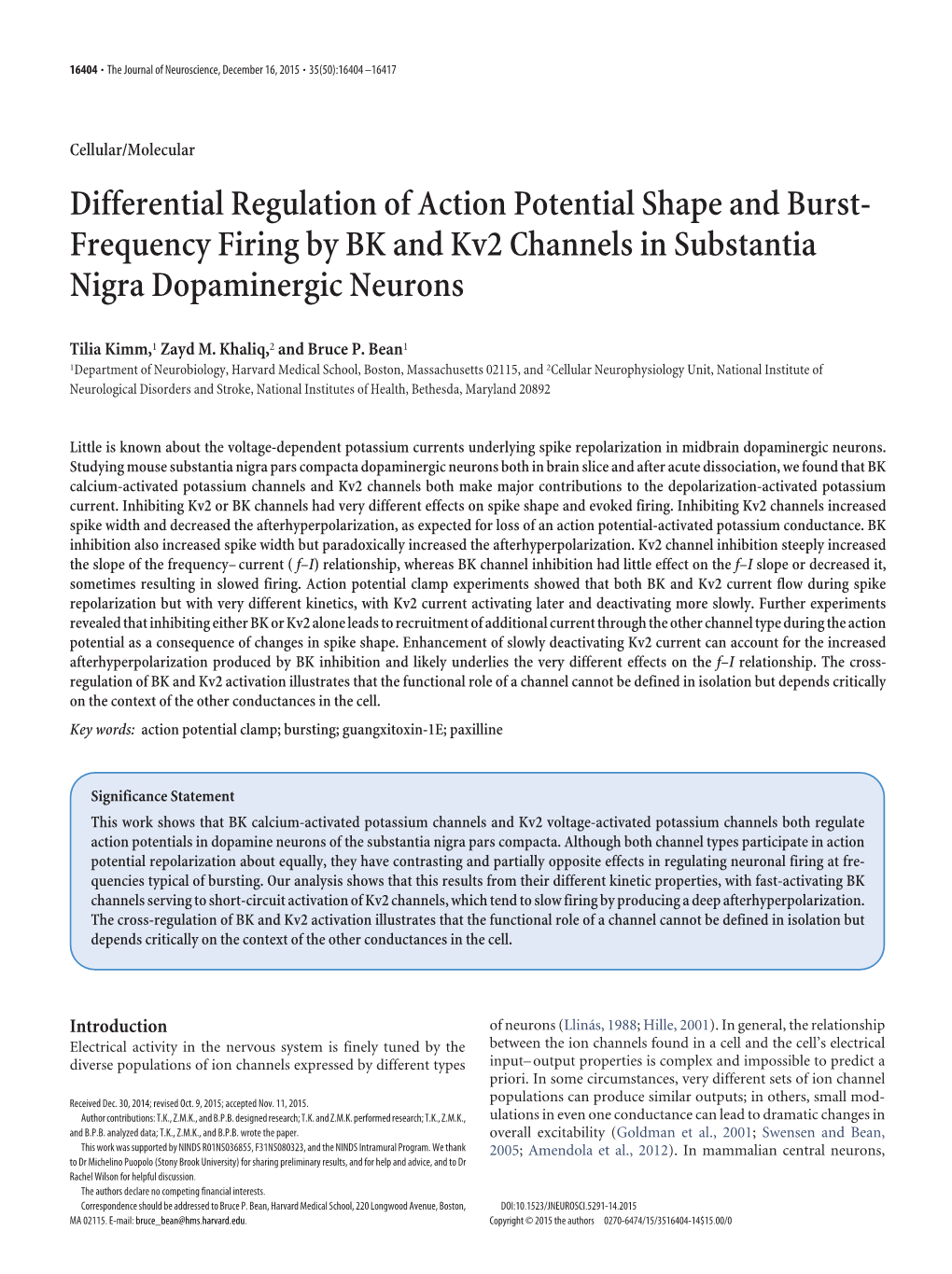 Frequency Firing by BK and Kv2 Channels in Substantia Nigra Dopaminergic Neurons