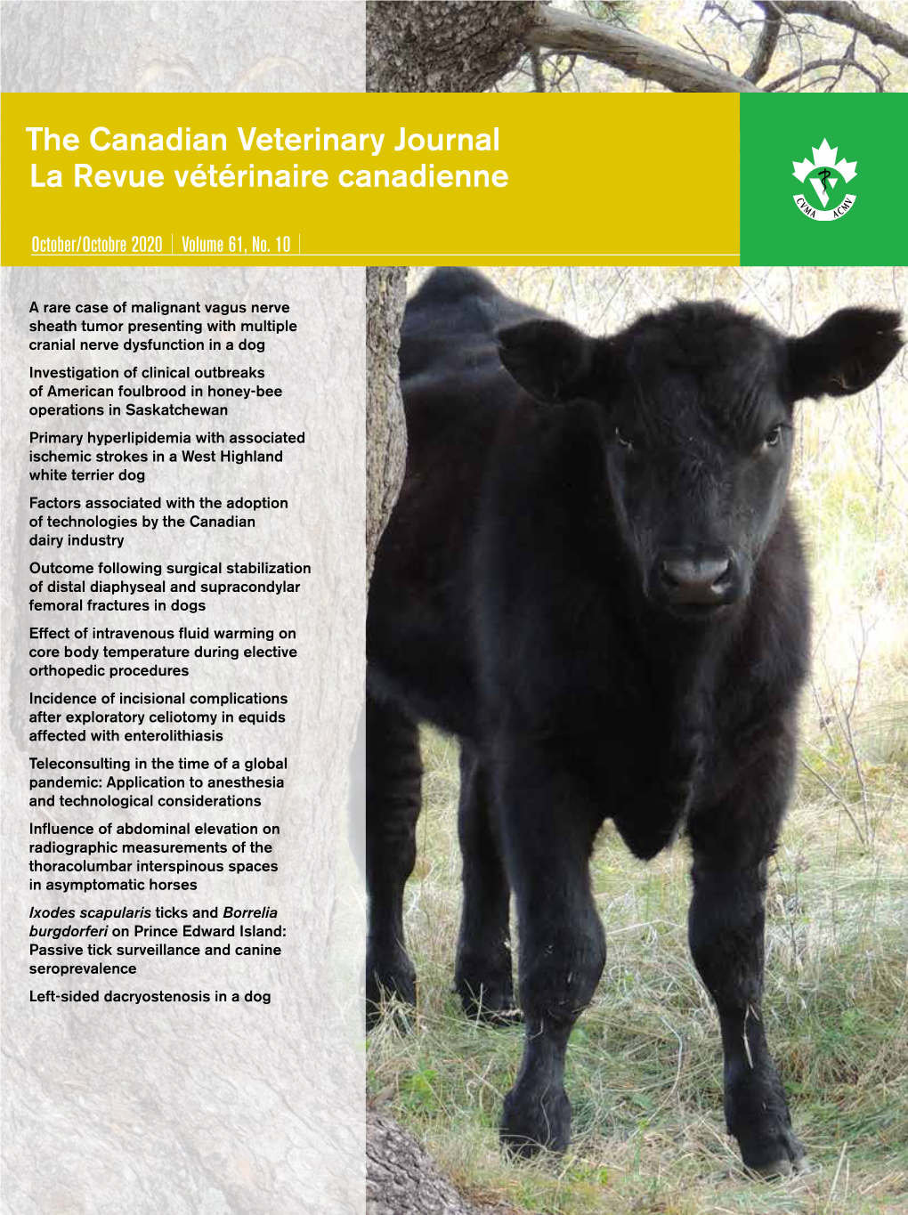 The Canadian Veterinary Journal La Revue Vétérinaire Canadienne