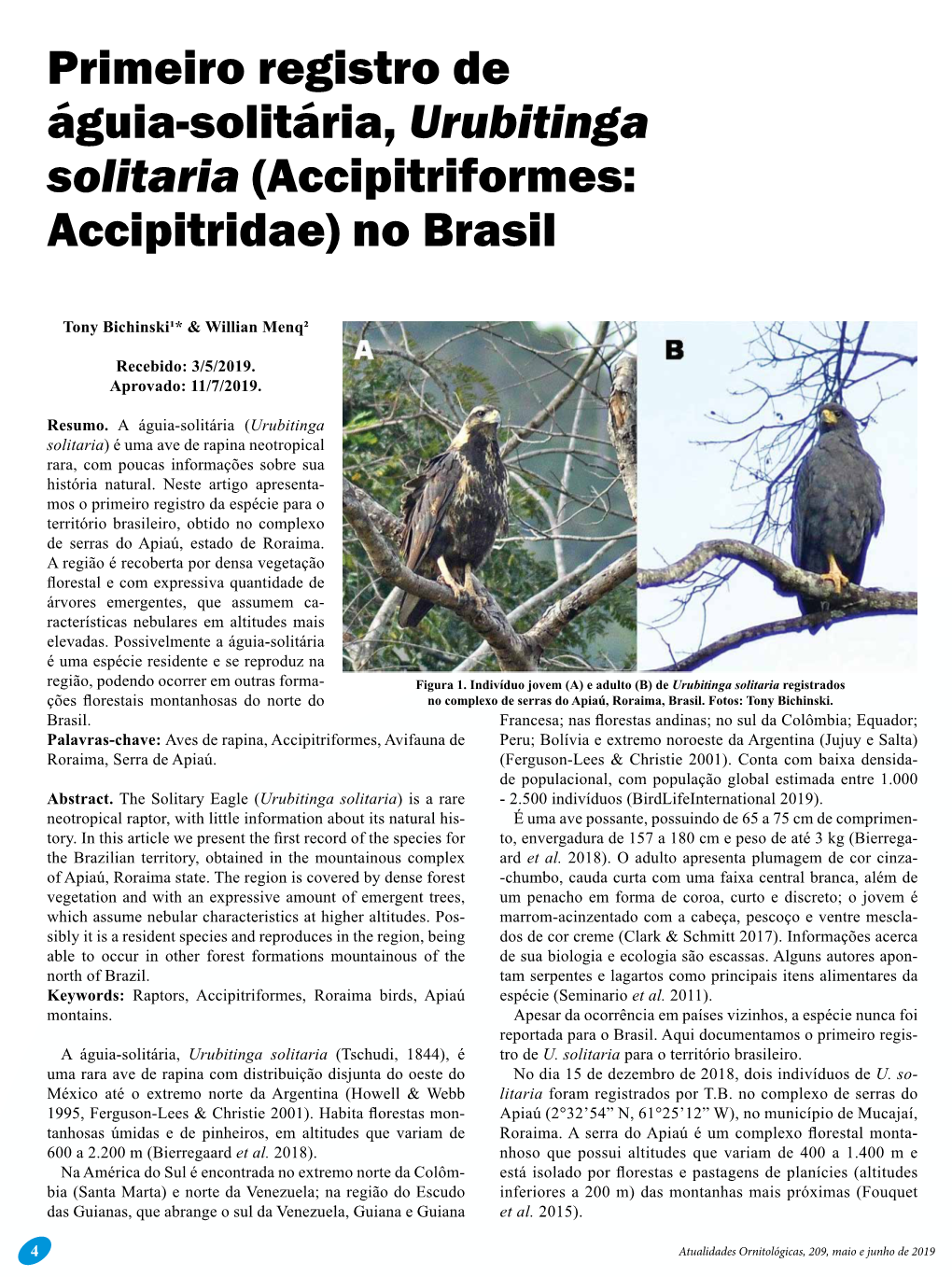 Primeiro Registro De Águia-Solitária, Urubitinga Solitaria (Accipitriformes: Accipitridae) No Brasil