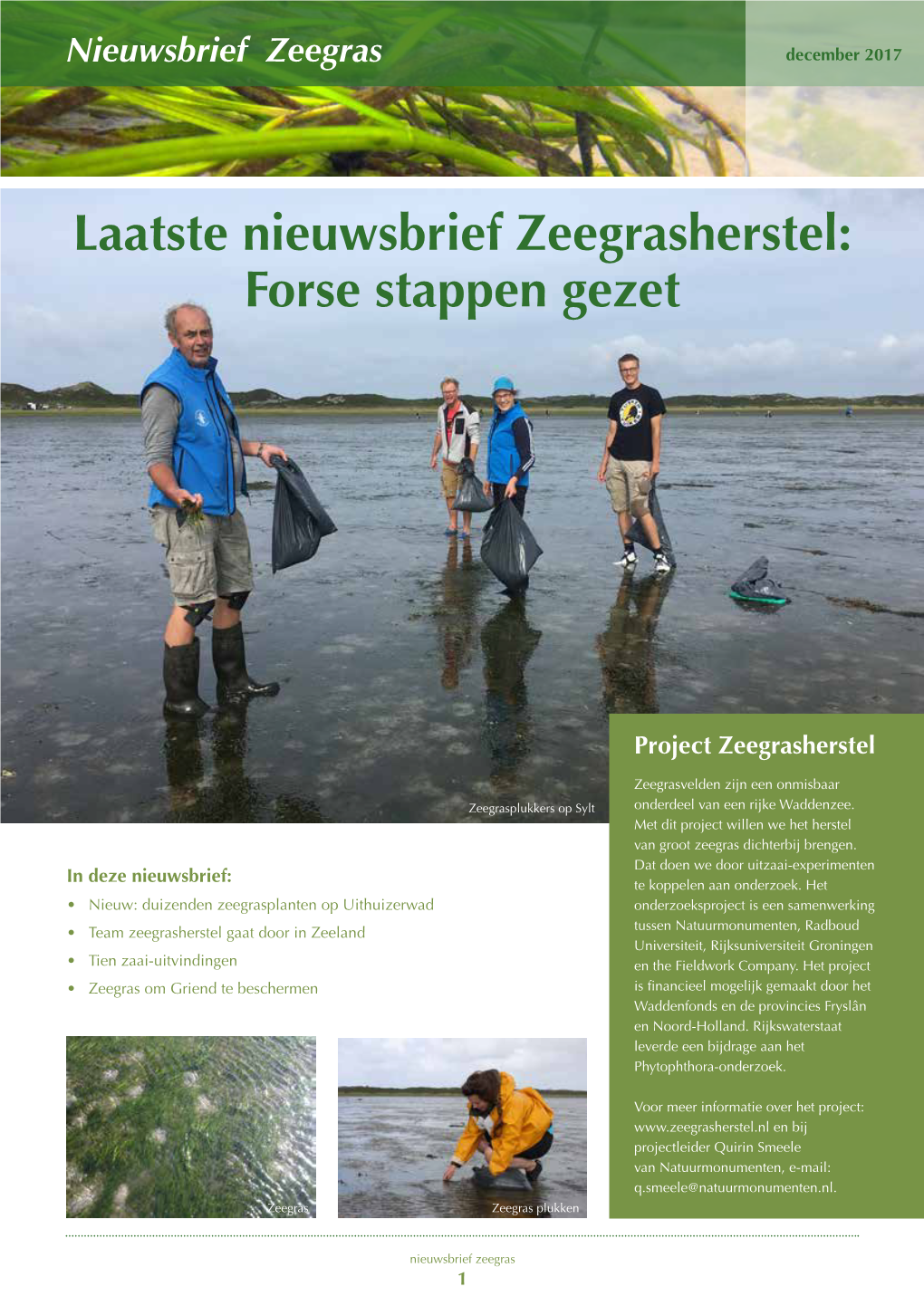 Nieuwsbrief Zeegrasherstel: Forse Stappen Gezet