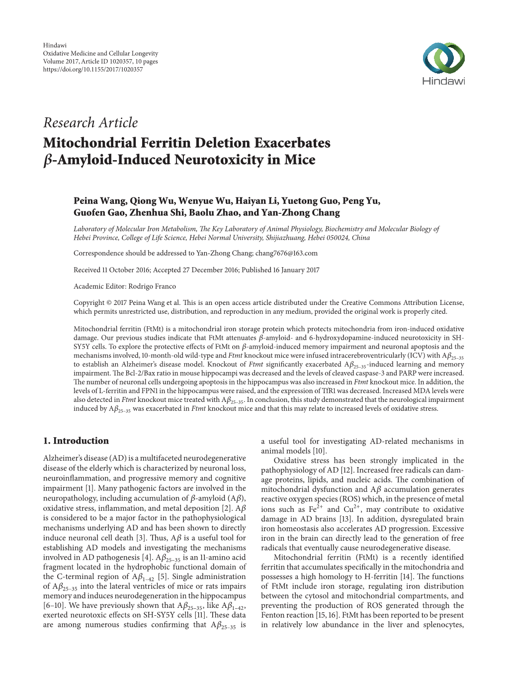 Research Article Mitochondrial Ferritin Deletion Exacerbates -Amyloid-Induced Neurotoxicity in Mice