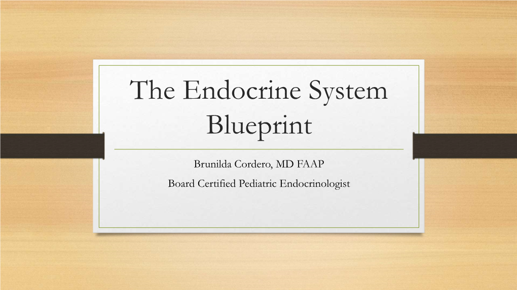 The Endocrine System Blueprint