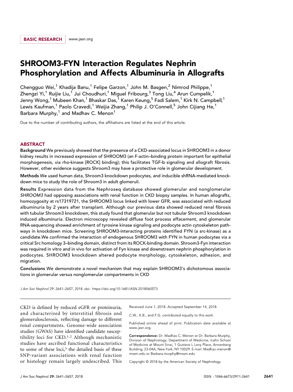 SHROOM3-FYN Interaction Regulates Nephrin Phosphorylation and Affects Albuminuria in Allografts