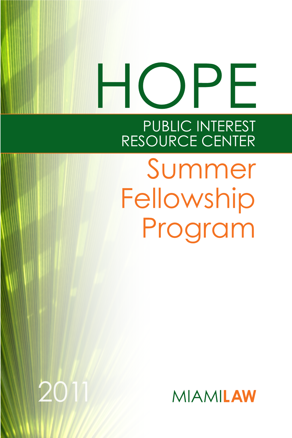 Summer Fellowship Program 2011