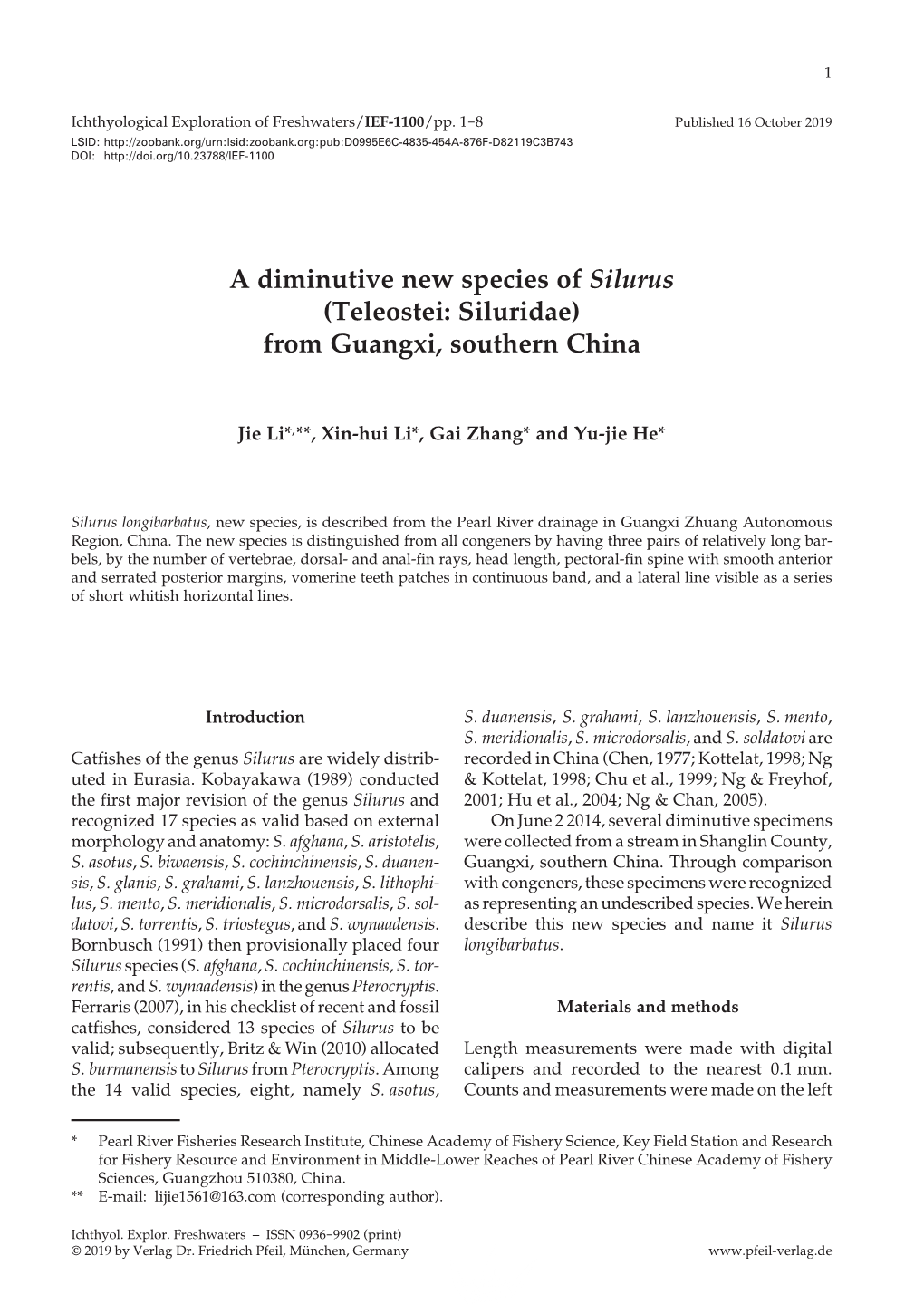 A Diminutive New Species of Silurus (Teleostei: Siluridae) from Guangxi, Southern China