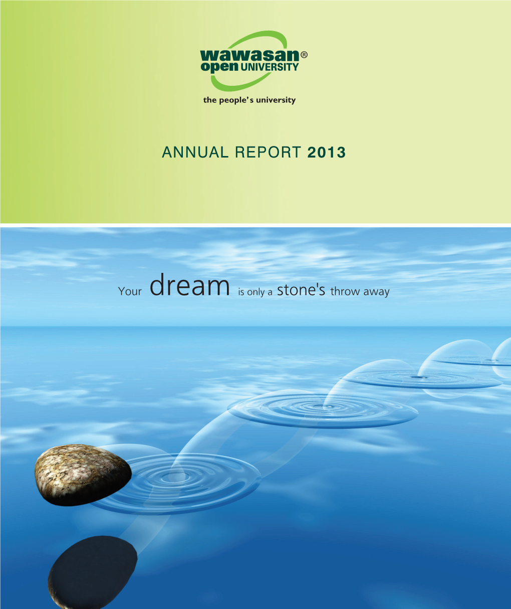 Annual Report 2013