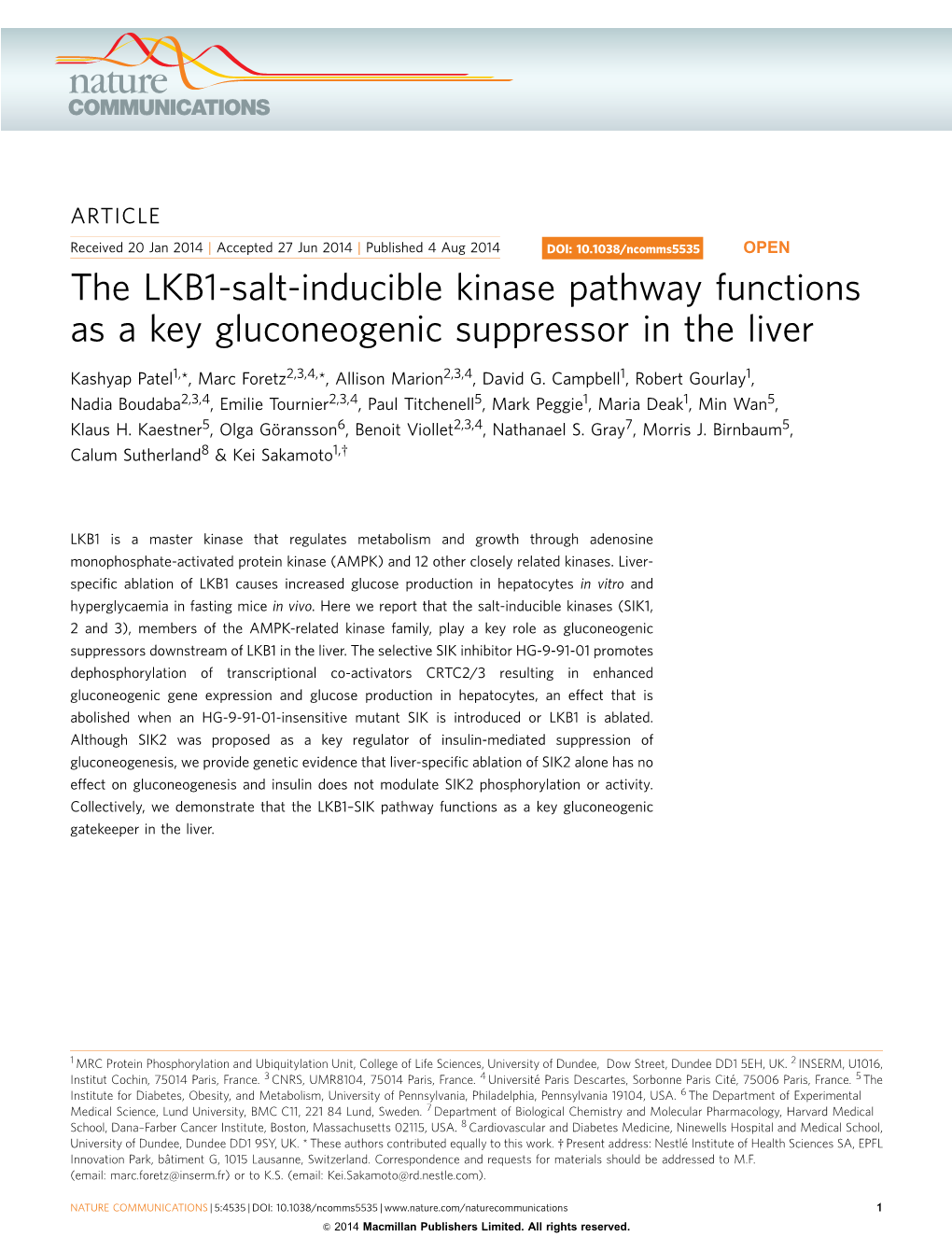 The LKB1-Salt-Inducible Kinase Pathway Functions As a Key Gluconeogenic Suppressor in the Liver