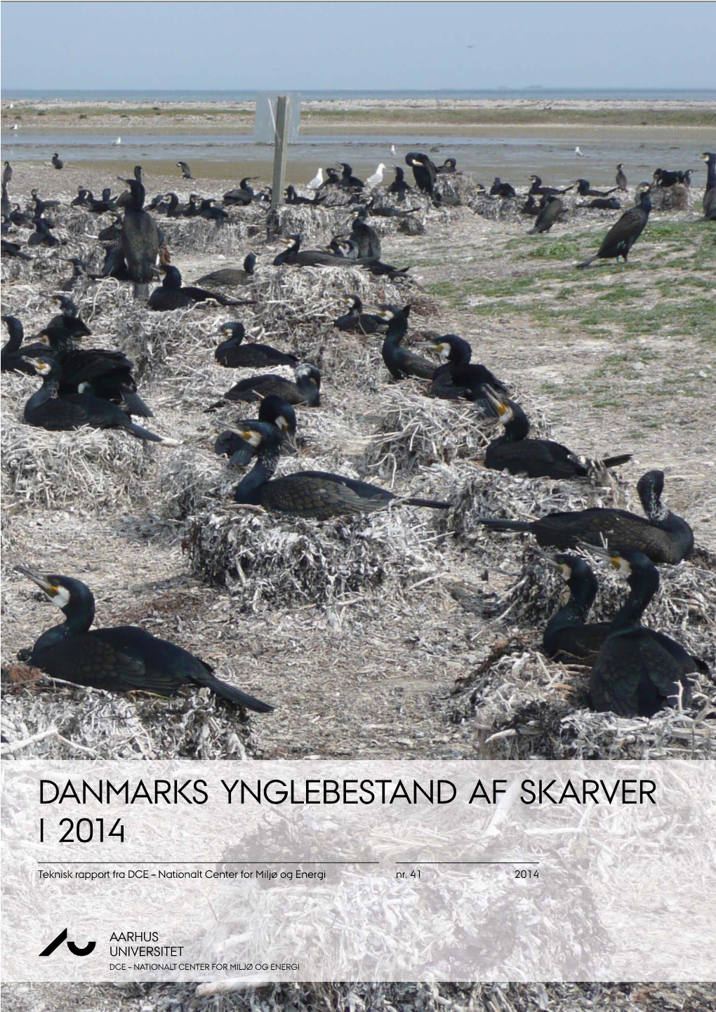 Danmarks Ynglebestand Af Skarver I 2014