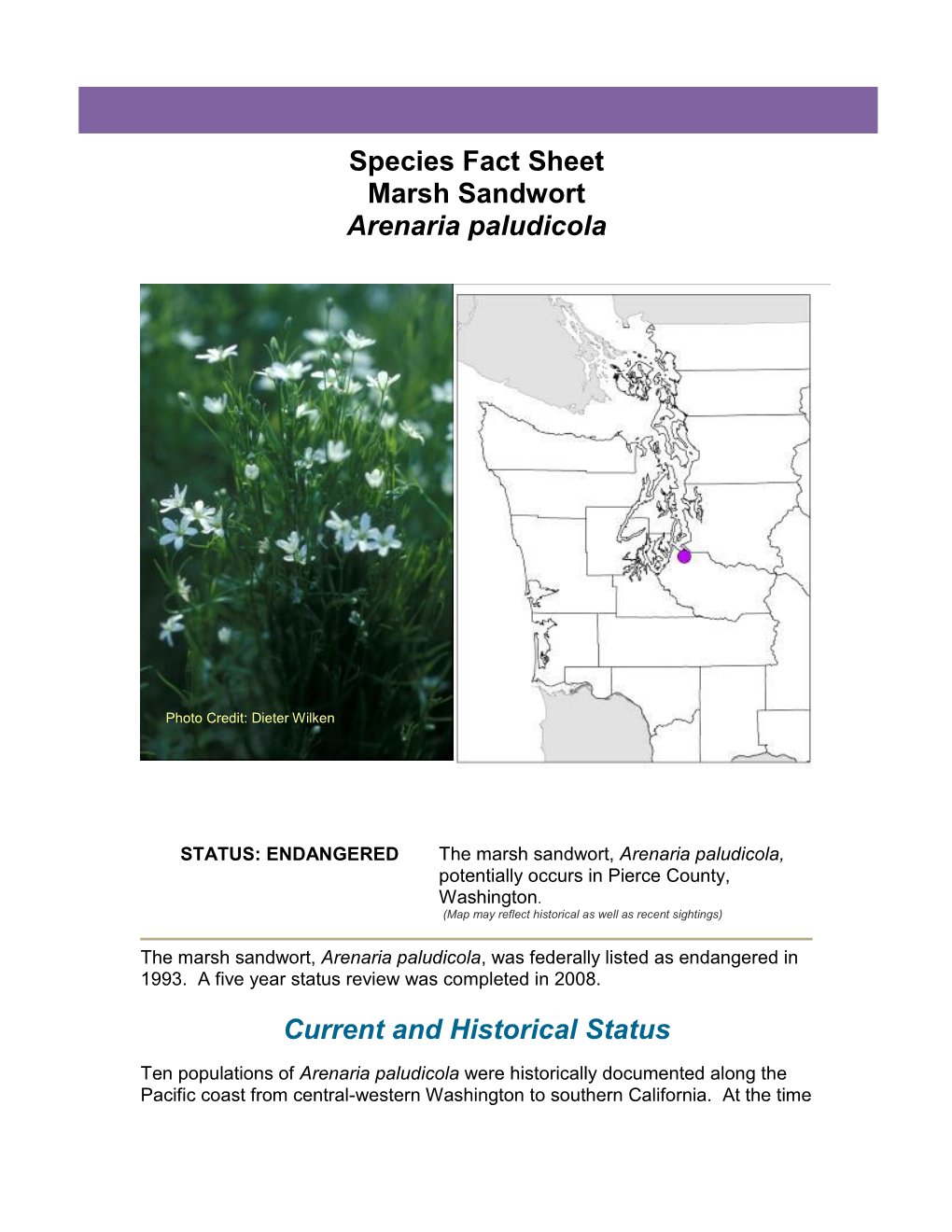 Species Fact Sheet Marsh Sandwort Arenaria Paludicola Current And