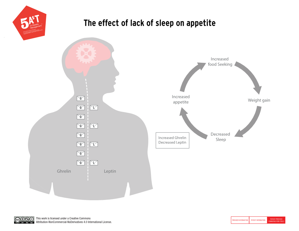 The Effect of Lack of Sleep on Appetite