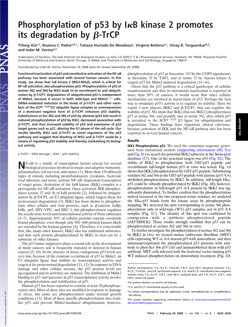 Phosphorylation of P53 by I B Kinase 2 Promotes Its Degradation by -Trcp