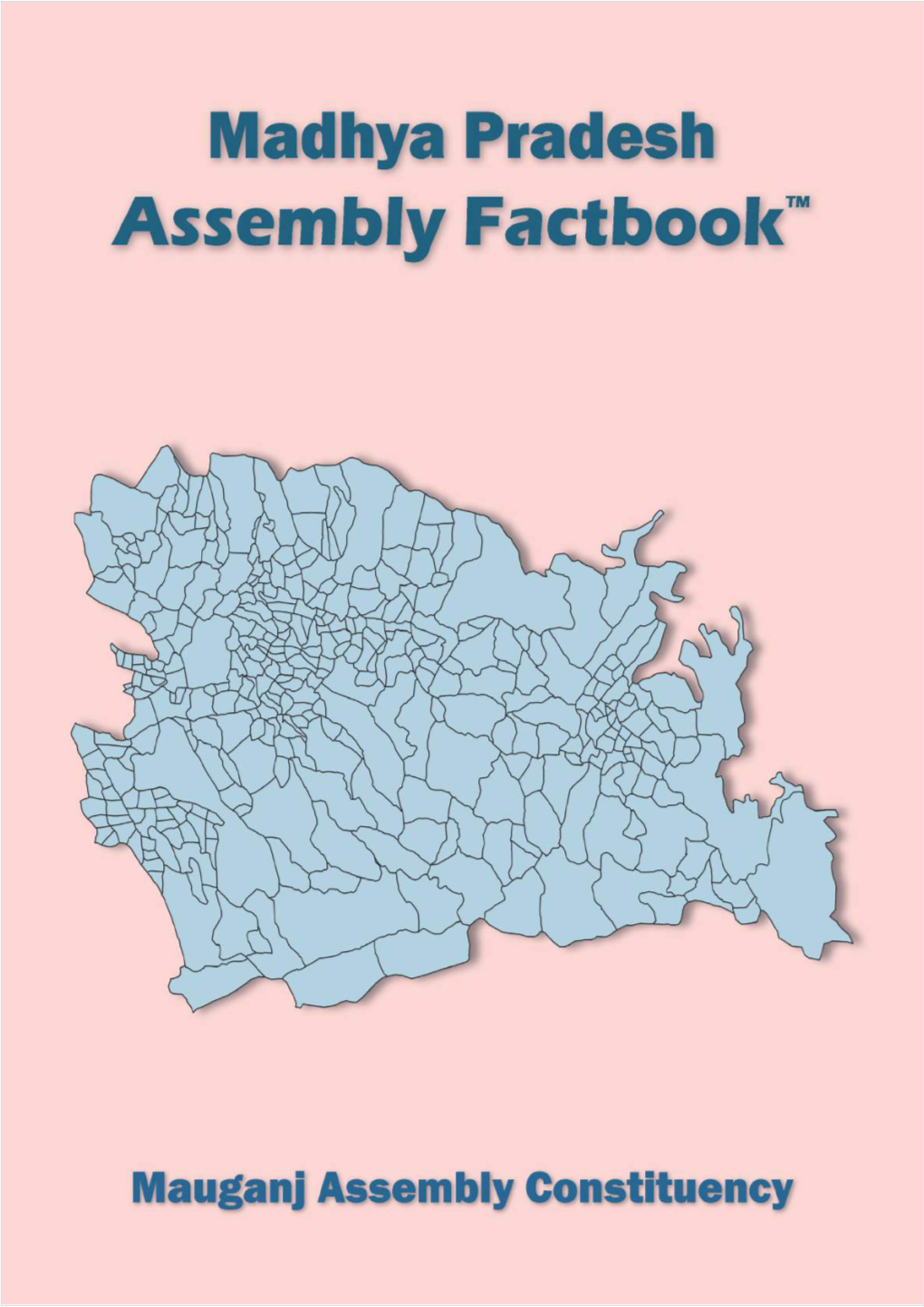 Mauganj Assembly Madhya Pradesh Factbook