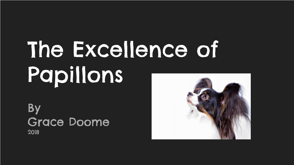 The Excellence of Papillons