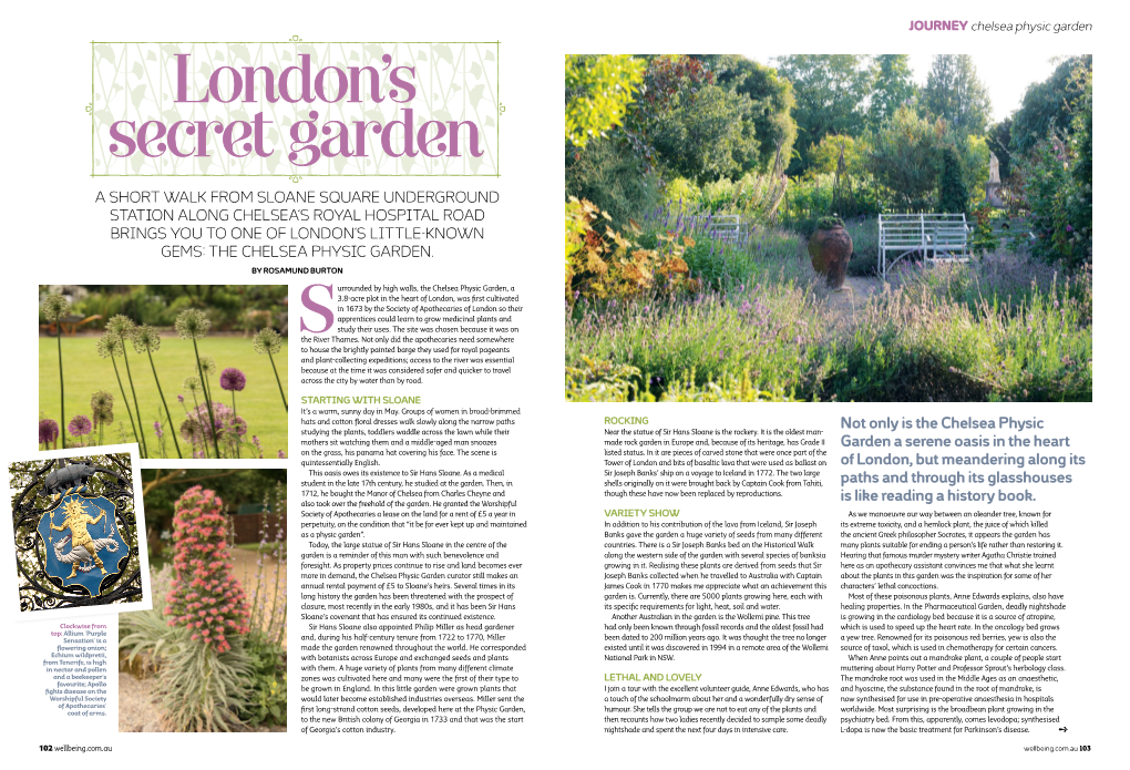 Not Only Is the Chelsea Physic Garden a Serene Oasis in the Heart Of