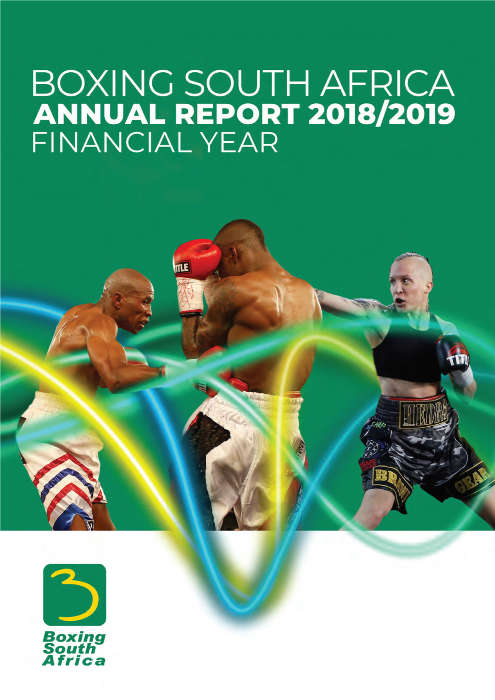 Annual Report 12 6