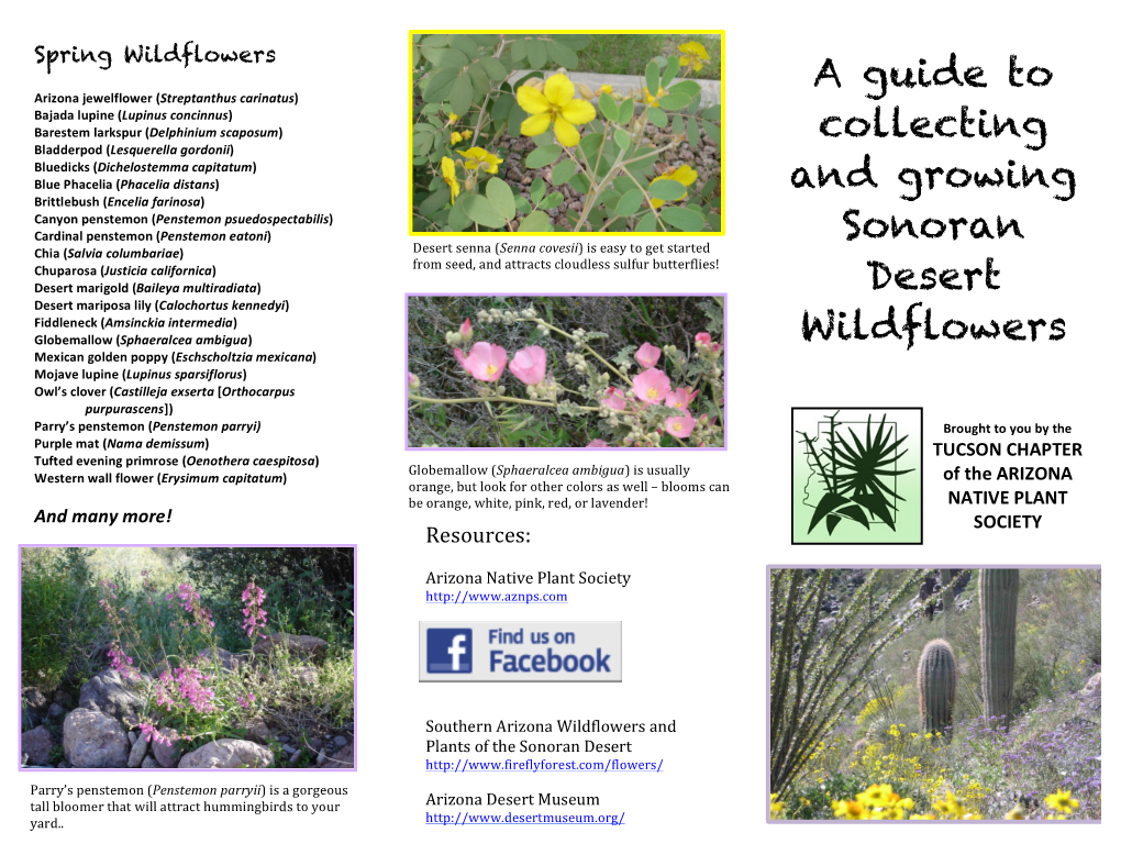Brochure Wildflowers