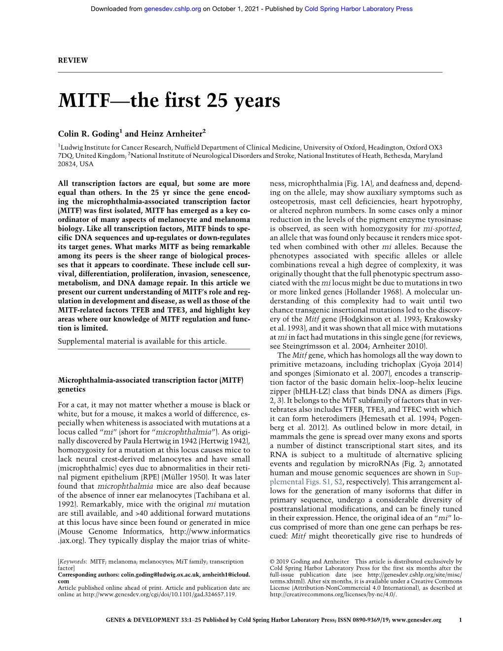 MITF—The First 25 Years