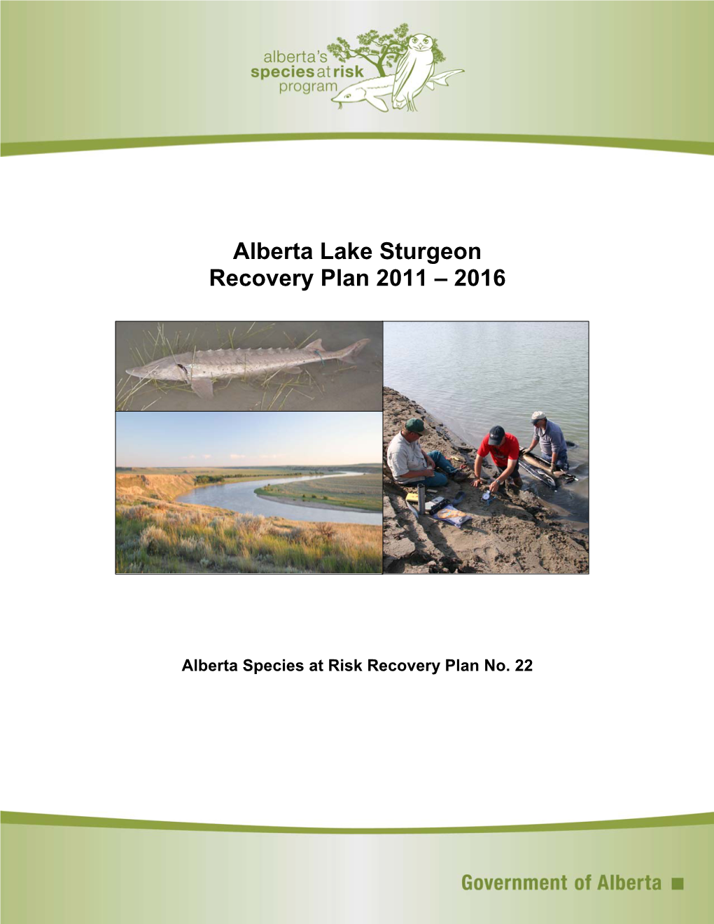 Alberta Lake Sturgeon Recovery Plan 2011-2016