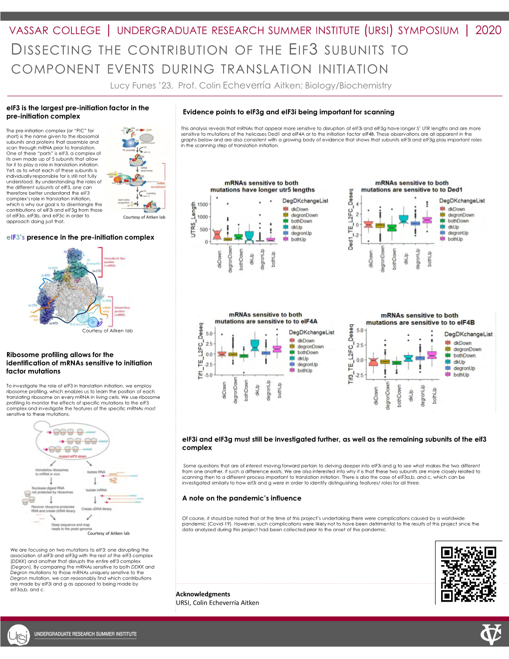 Dissecting the Contribution of the Eif3 Subunits To