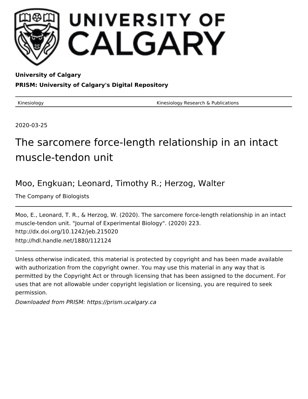 The Sarcomere Force-Length Relationship in an Intact Muscle-Tendon Unit