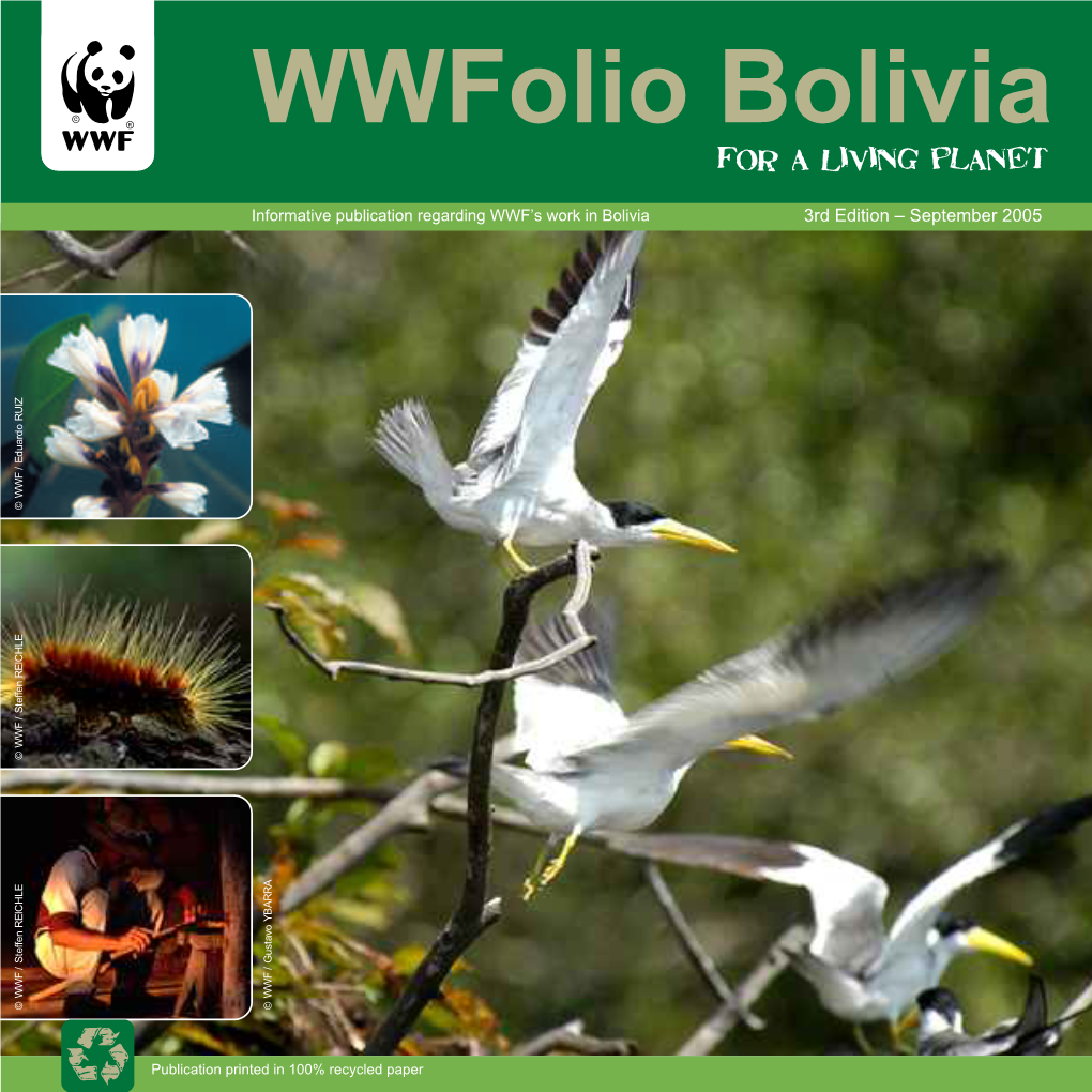 Wwfolio Bolivia