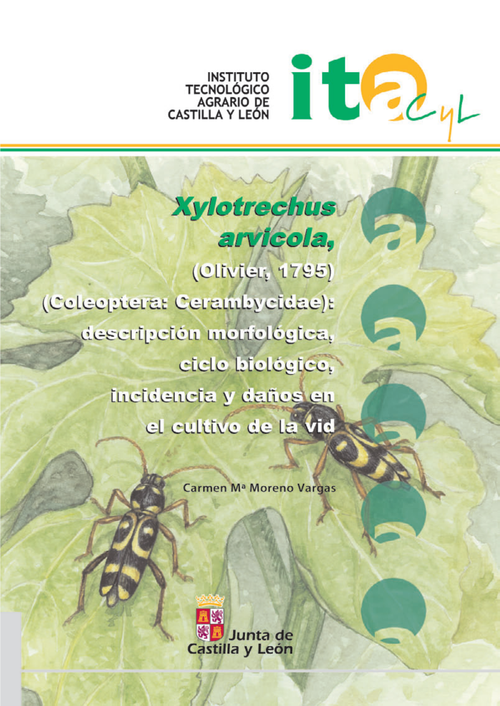 Xylotrechus Arvicola, (Olivier, 1795) (Coleoptera: Cerambycidae): Descripción Morfológica, Ciclo Biológico, Incidencia Y Daños En El Cultivo De La Vid