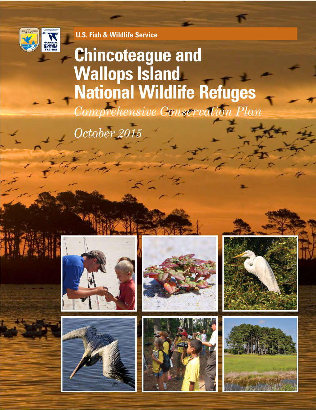 Chincoteague and Wallops Island National Wildlife Refuges