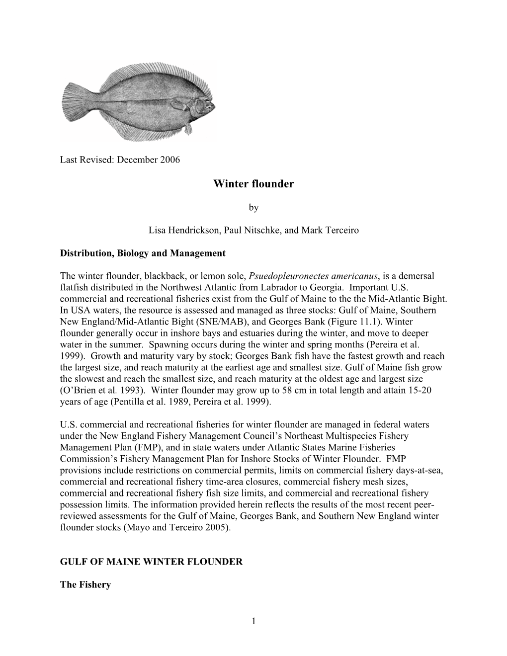 Winter Flounder (Pseudopleuronectes Americanus) in Mayo, R., F