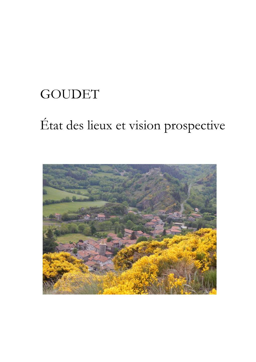 GOUDET État Des Lieux Et Vision Prospective