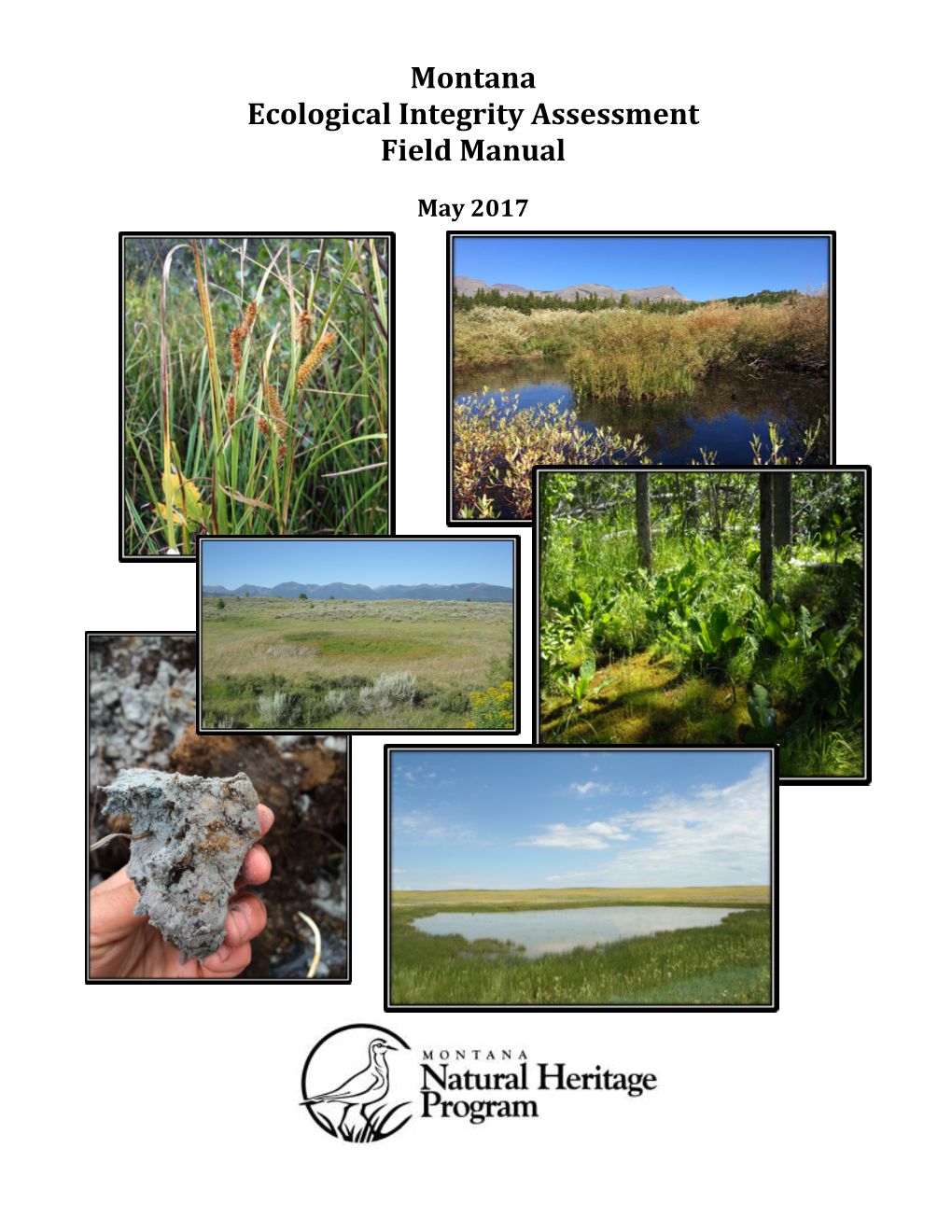 Montana Ecological Integrity Assessment Field Manual