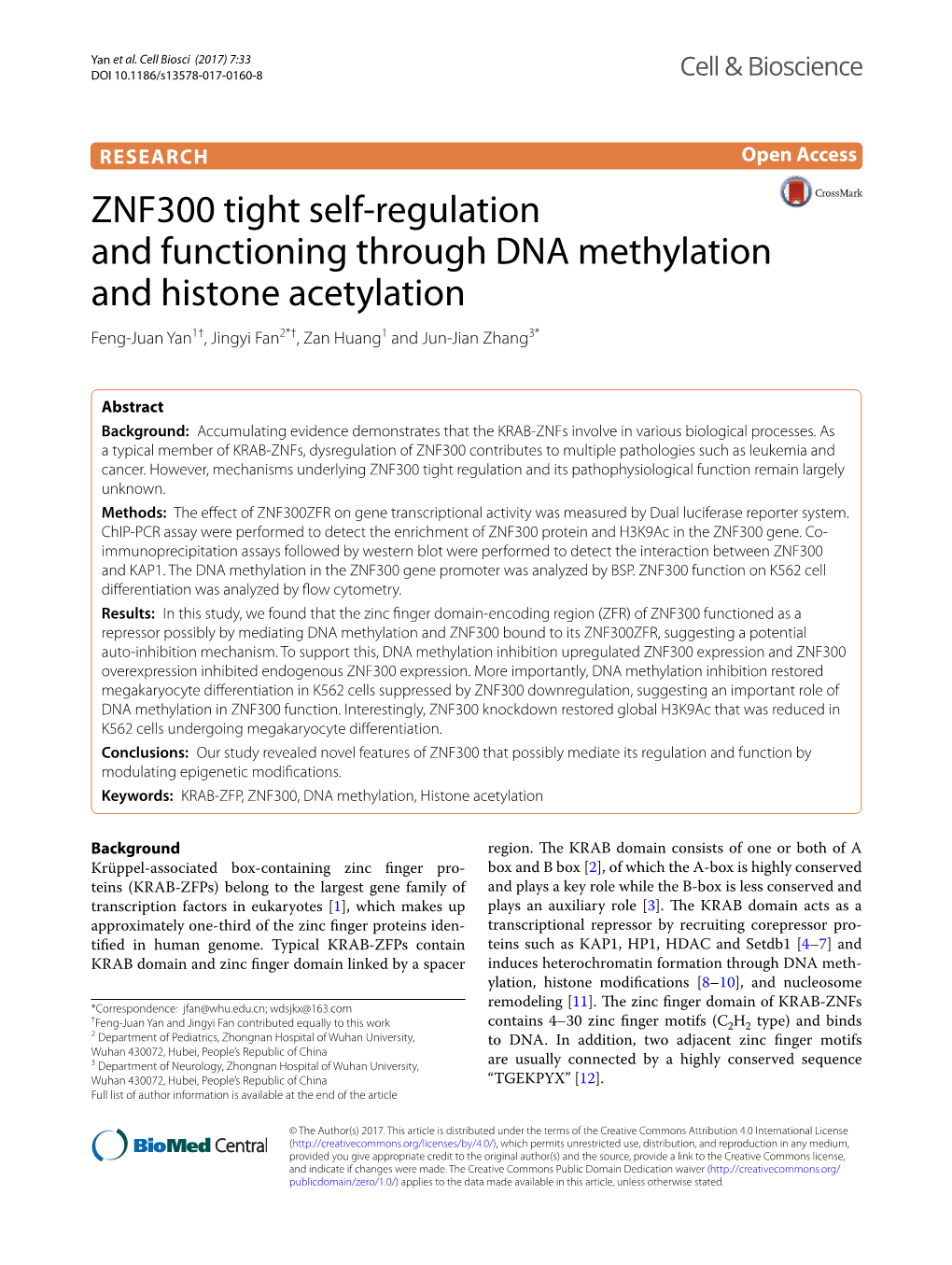 ZNF300 Tight Self-Regulation and Functioning Through DNA