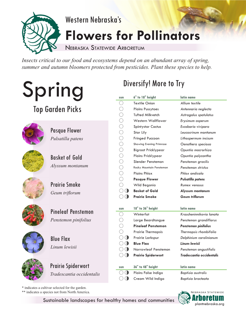 Flowers for Pollinators Nebraska Statewide Arboretum