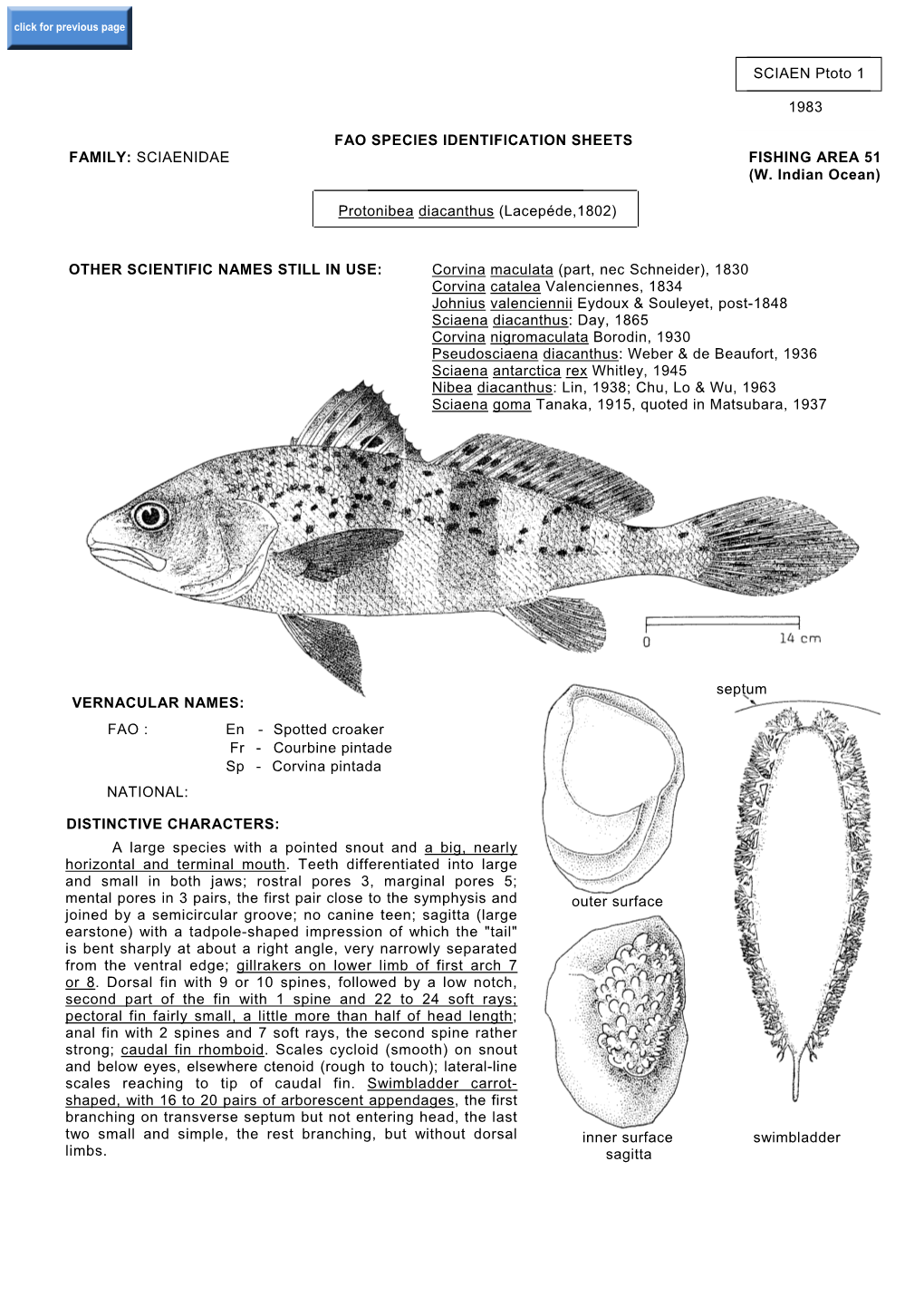 FAMILY: SCIAENIDAE FISHING AREA 51 (W. Indian Ocean) SCIAEN