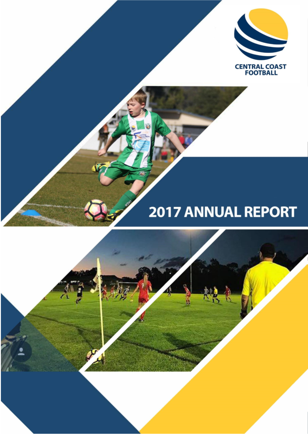 2017 Annual Report [Type the Abstract of the Document Here