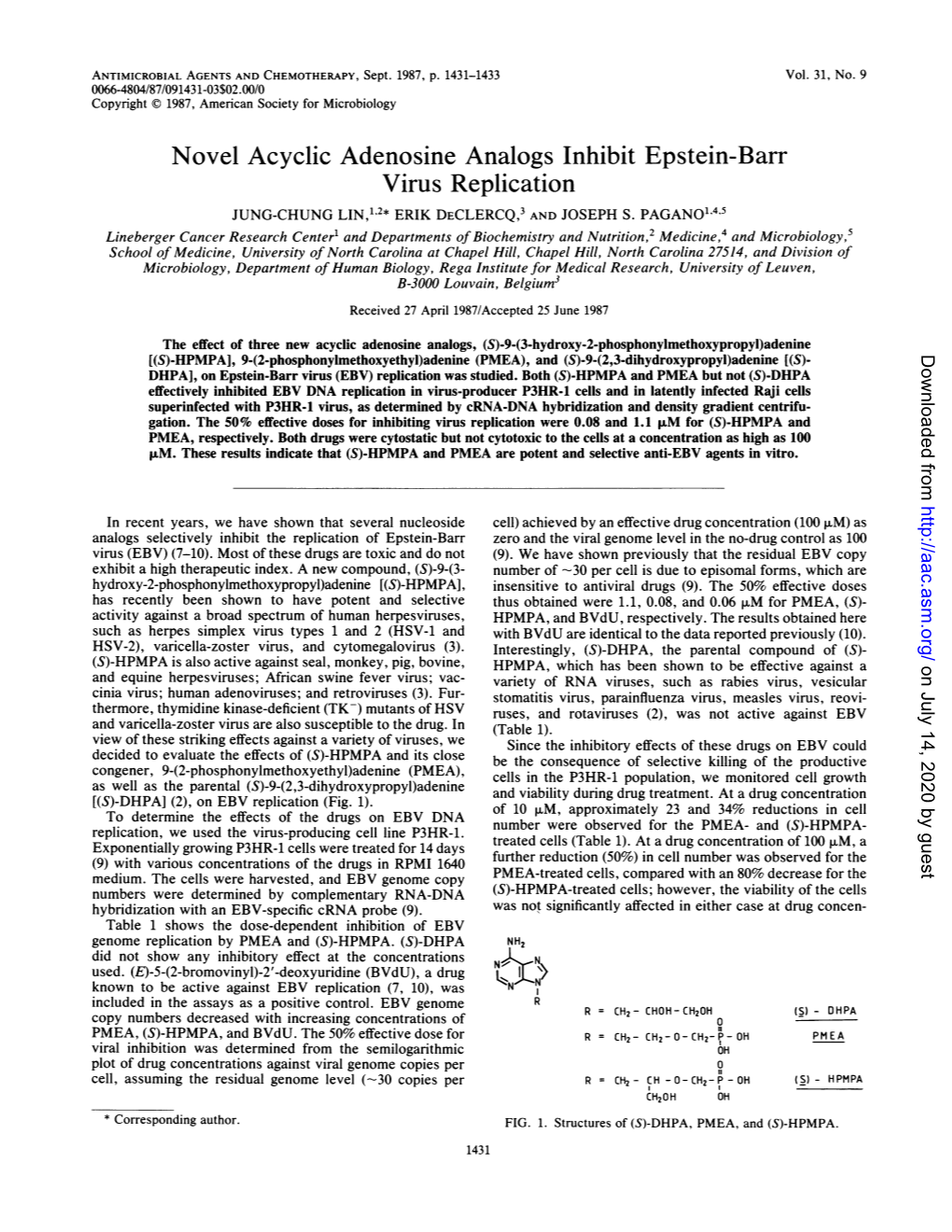Novel Acyclic Adenosine Analogs Inhibit Epstein-Barr Virus Replication JUNG-CHUNG LIN,',2* ERIK DECLERCQ,3 and JOSEPH S