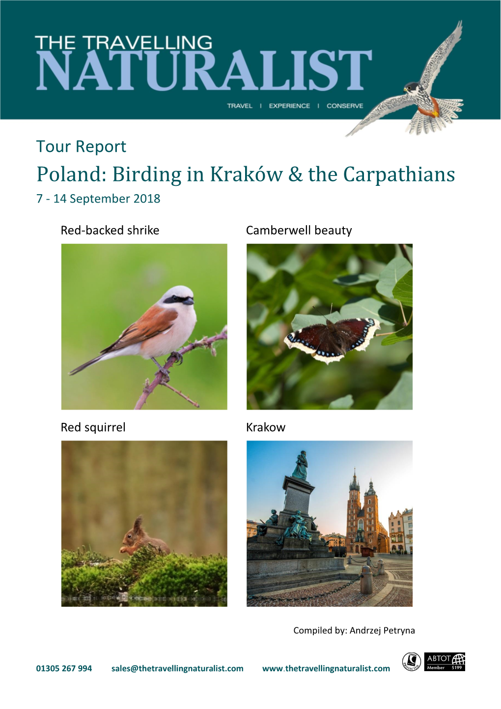 Poland: Birding in Kraków & the Carpathians