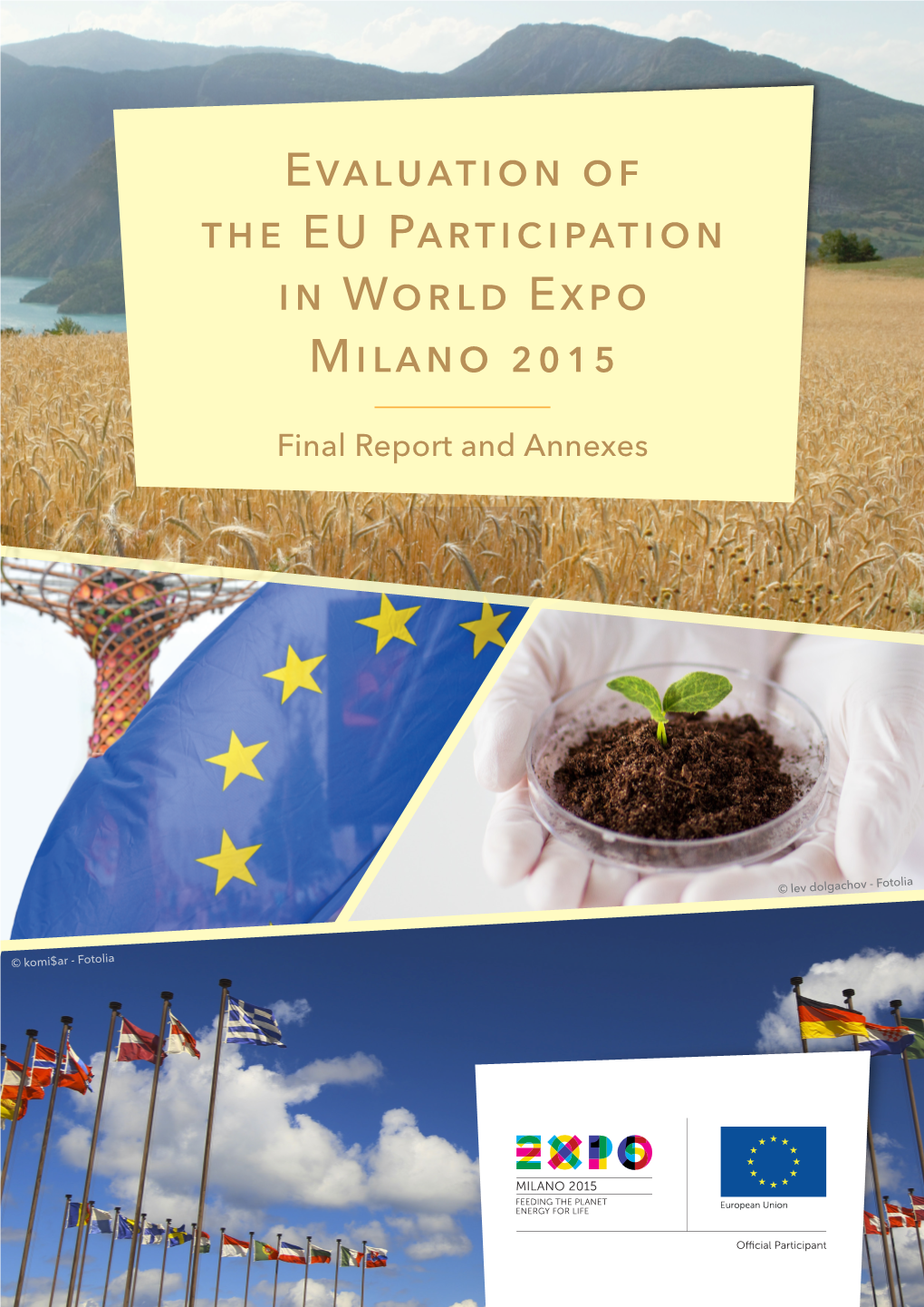 Evaluation of the Eu Participation in World Expo Milano 2015