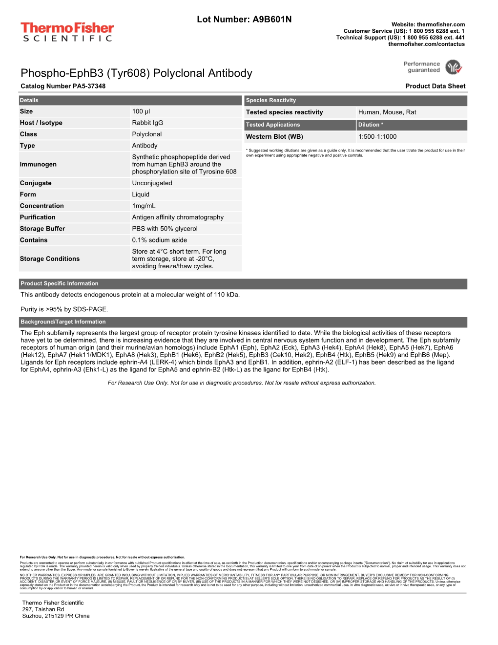 Phospho-Ephb3 (Tyr608) Polyclonal Antibody Catalog Number PA5-37348 Product Data Sheet