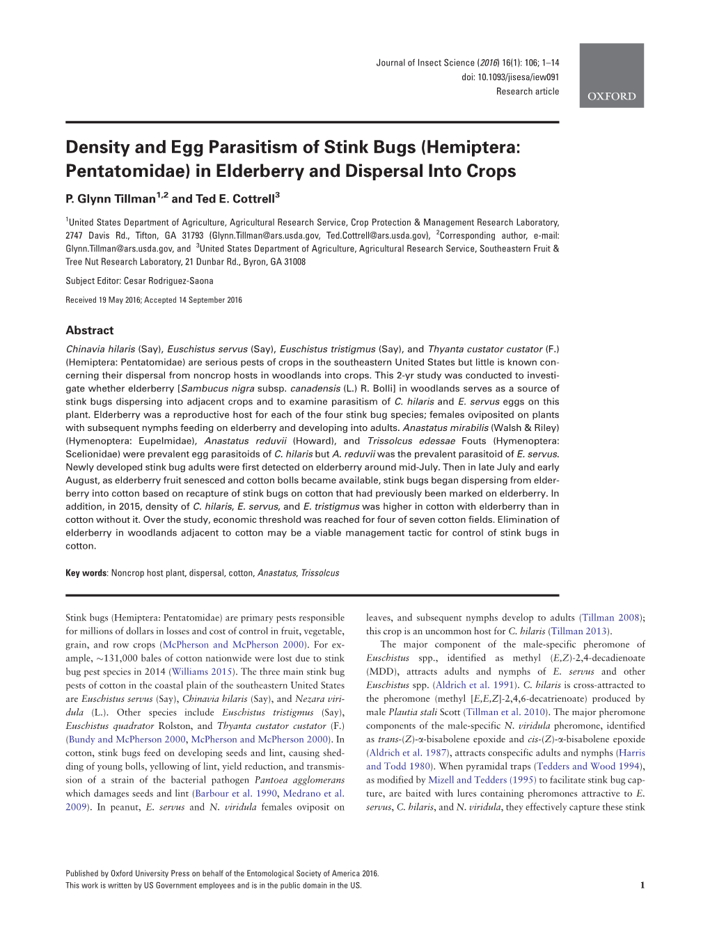 Density and Egg Parasitism of Stink Bugs (Hemiptera: Pentatomidae) in Elderberry and Dispersal Into Crops
