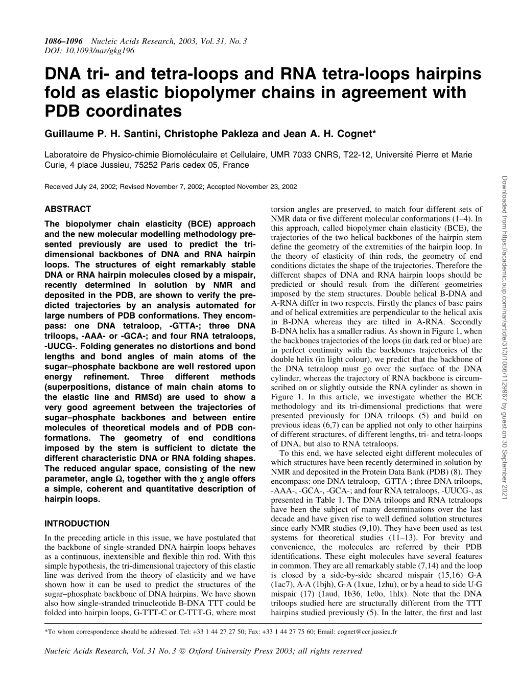 DNA Tri- and Tetra-Loops and RNA Tetra-Loops Hairpins Fold As Elastic Biopolymer Chains in Agreement with PDB Coordinates