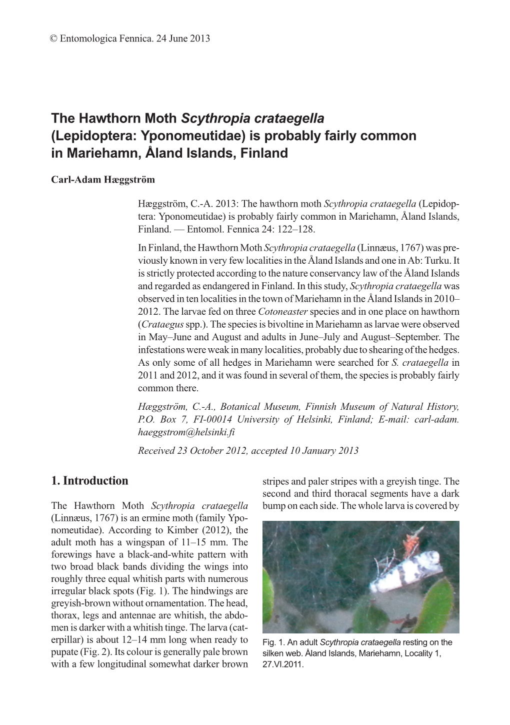 The Hawthorn Moth Scythropia Crataegella (Lepidoptera: Yponomeutidae) Is Probably Fairly Common in Mariehamn, Åland Islands, Finland